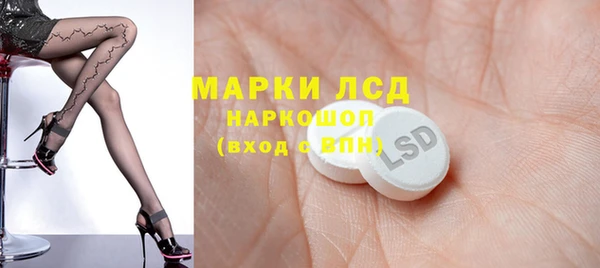 стаф Медногорск