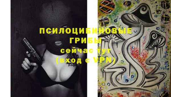 винт Медвежьегорск
