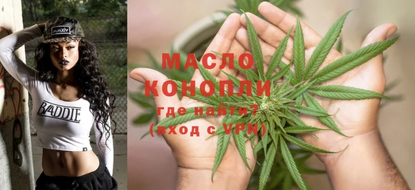 стаф Медногорск