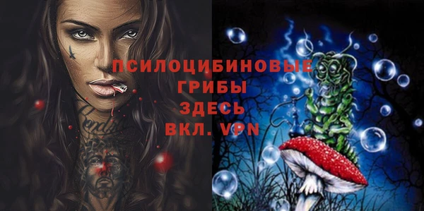 стаф Медногорск