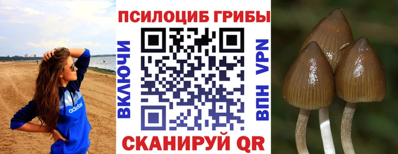 Галлюциногенные грибы ЛСД  Моршанск 